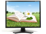 NEC 2190UXp