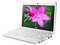 msi΢�� Wind U90X-IWN2705M08XH