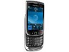 ��ݮ Torch 10000