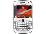 ��ݮ9900����ɫ�棩