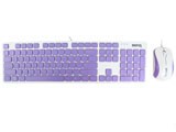 ����BV520�ǹ�ϵ�м�����װ