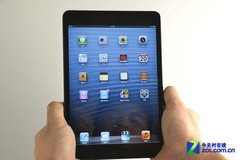 苹果iPad mini CV的