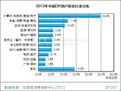 2012-2013���й�DIY�û����Ե��鱨�� 