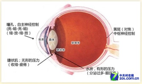 全面透视! “不闪屏”是如何消除闪烁的