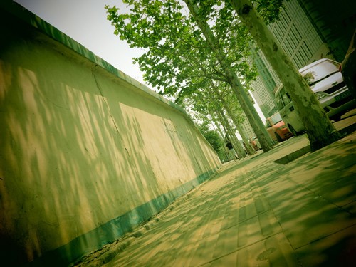 洴Ӱ PowerShot Nٱ 