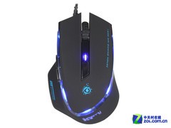 ���������ѡ ɭ�������Ы�ռ������� 