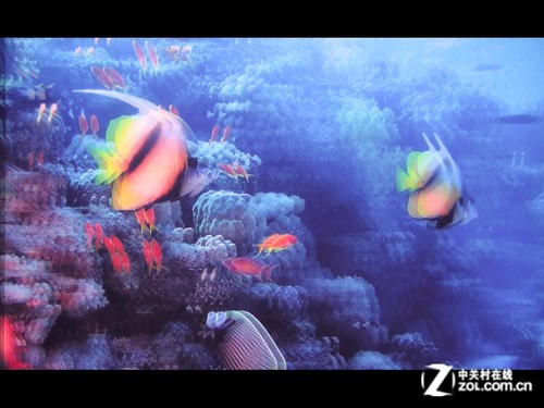 ЯLED3D΢Ͷ ǸZECO CX5ײ 