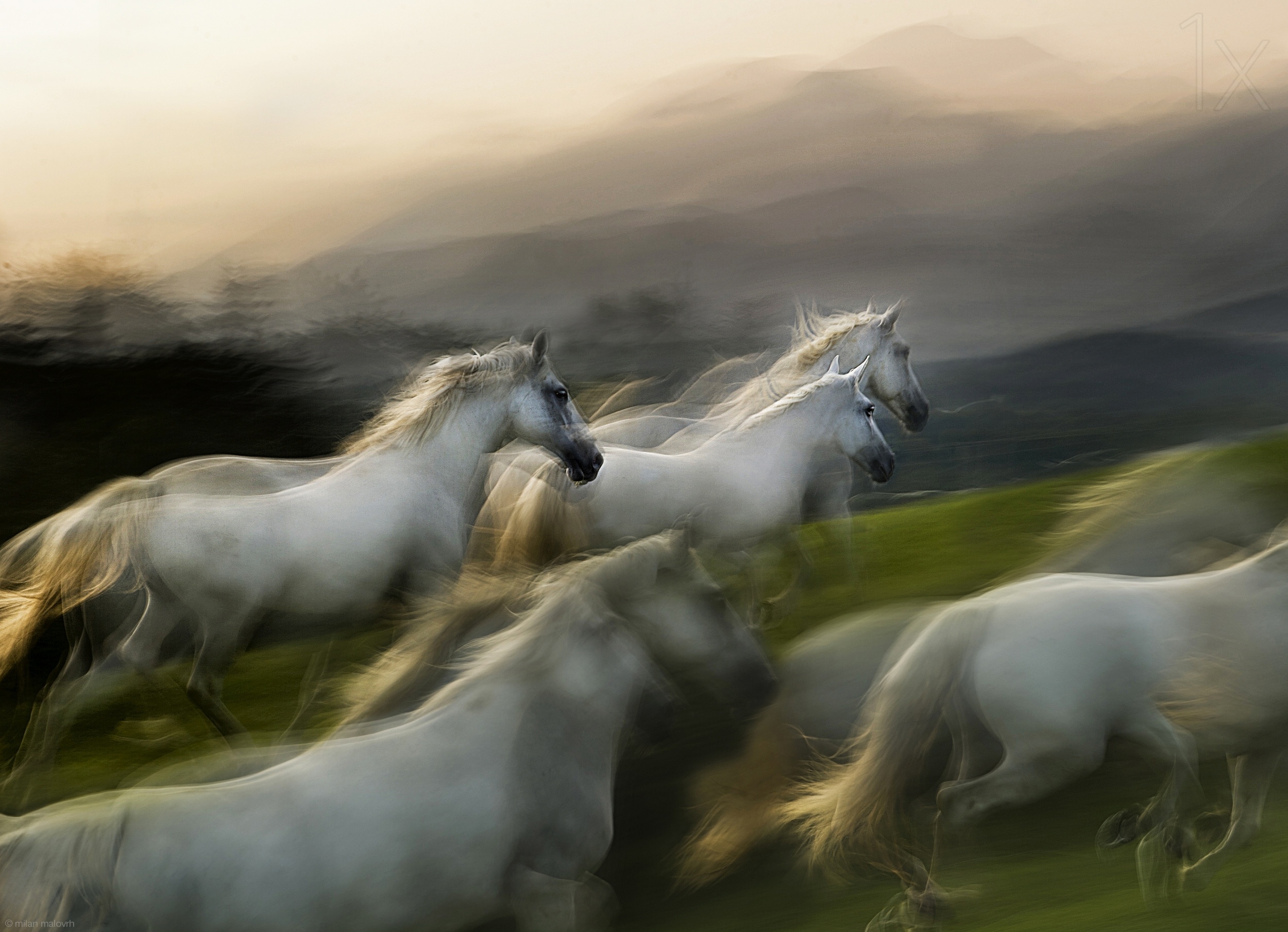 狂野动感震撼视觉 小镇摄影师的大创作