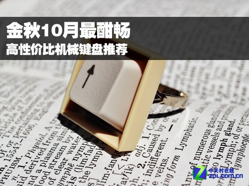 机械键盘性价比排行榜_机械键盘AMHATSU性价比和特色分析(2)