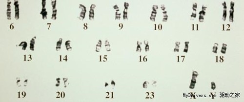 ce9iHT6ZIr68U.jpg