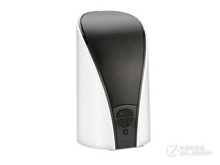 H300