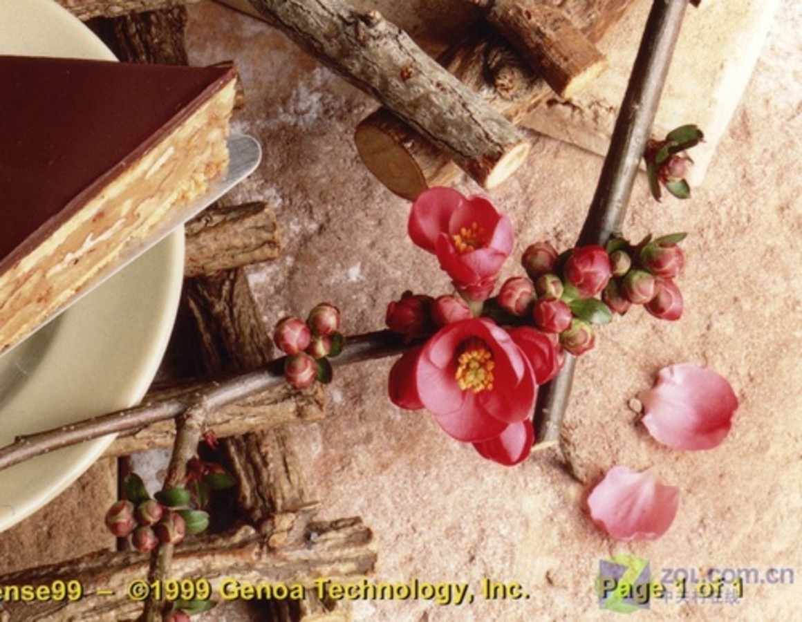 【高清图】 爱普生cx6900f一体机打印样张图赏析图3