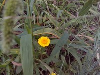 �ȷ�P80w������2