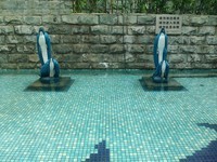 ����8950���ƶ��棩������6