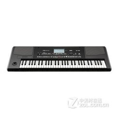 ����PA300 �ϳ���