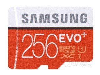 micro SDXC EVO+256GB