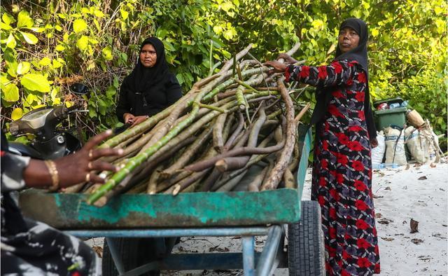 【高清图】 世界度假胜地马尔代夫"岛民"的真实生活图3