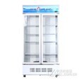 穂凌（SUILING）风冷双门立式冷藏柜 单温玻璃门展示冷柜 啤酒饮料柜牛奶保鲜柜 LG4-900M2/W 双门风冷