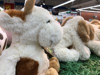 ƻ��iPhone X��ȫ��ͨ��������7