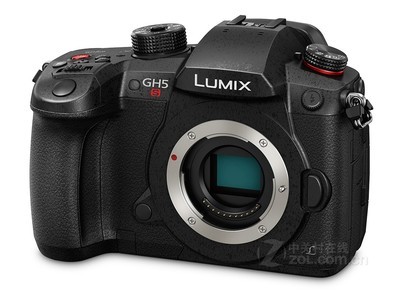  GH5s