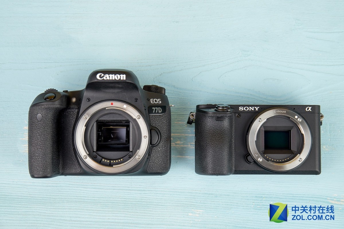 【高清图】 小钢炮的较量 佳能77d对比索尼a6500图27