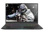 е X8Ti Plus(i7 8750H/16GB/256GB+1TB/RTX2060)