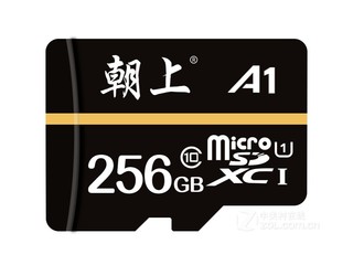 Micro SD256GB
