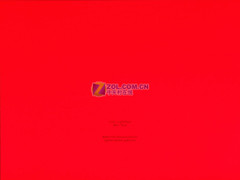 ���±��� ����L91C 19Ӣ��LCDϸ�� 