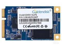 Goldendisk GWIM-256TS256GB