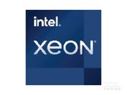 Intel Xeon W-11855M