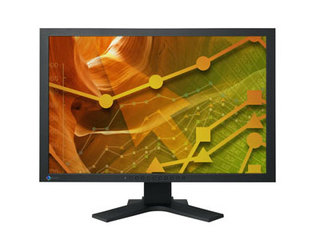 EIZO FlexScan S2402W