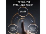 史密斯兰堡JRY6601 【8500W高配款】变频速热+智能恒温