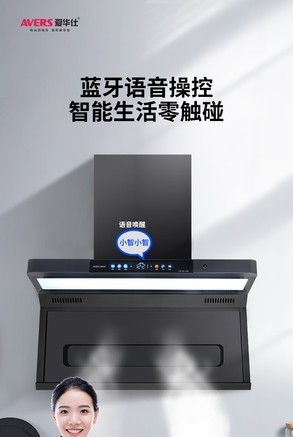 avers(爱华仕)l2358 标准