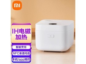 С��3L �׼����ܵ緹��΢ѹ��3L