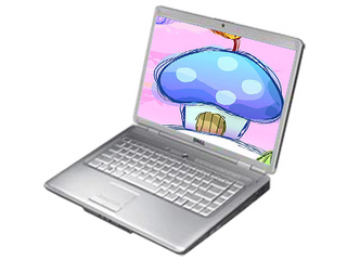 ����Inspiron 1525(T3200/2GB/250GB)