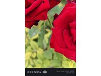 iQOO 12 Pro(16GB/256GB)������4