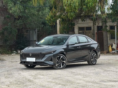  PLUS 2023 1.5T DCT캽