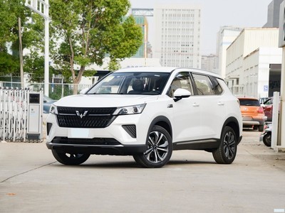  ǳ 2022 2.0L DHT羢