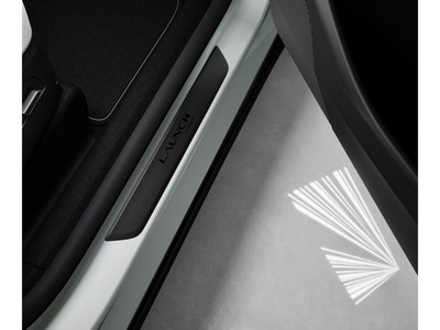 ��˹�� Model Y 2025�� ���������泵������1