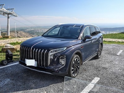 HS7 PHEV 2024 2.0T PHEV  6