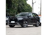大众 途昂 2026款 途昂 Pro 380TSI 两驱越境版