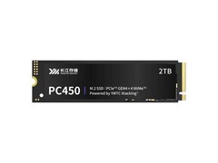 闀挎睙瀛樺偍PC450 M.2 2280 1TB