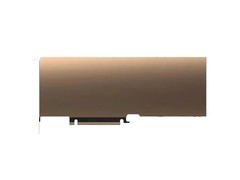 NVIDIA Tesla L20 48G