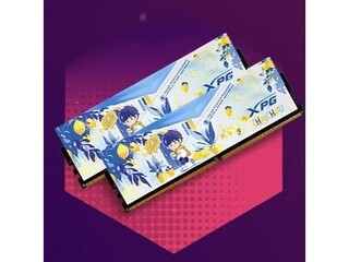 XPG ҫ D500G DDR5 6000 C26 32GB(16GBx2) ͬѧ ɫ