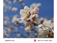 С��15 Ultra( 16GB/512GB)������1