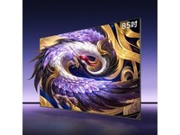 雷鸟鹤6 Ultra 26款 85英寸（85R69A Ultra）