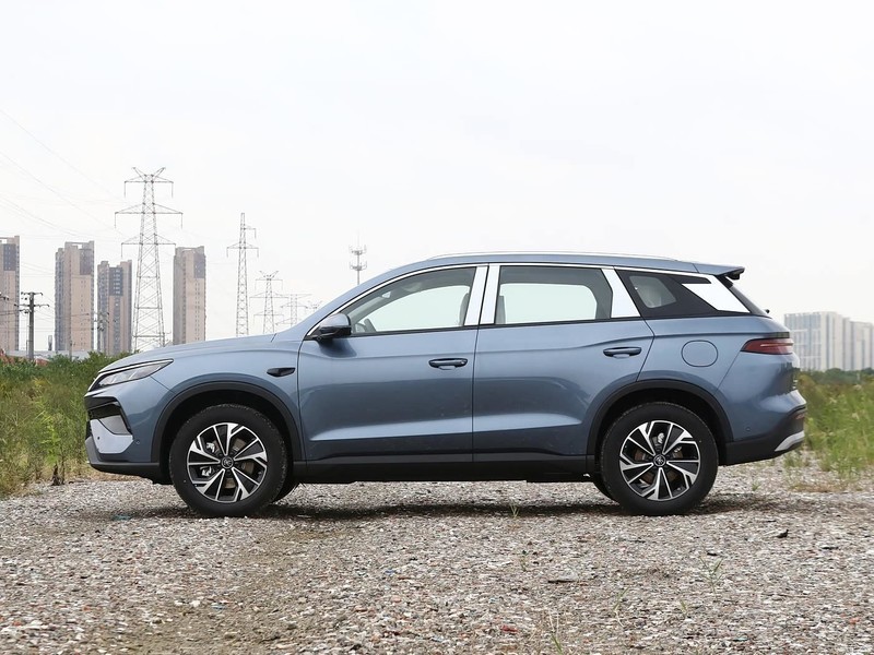 ���ǵ� ��Pro����Դ 2026�� DM-i 133KM��Խ��