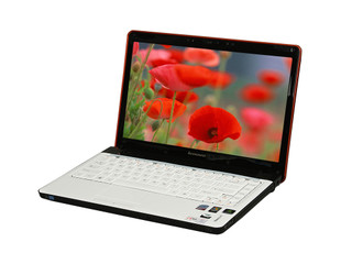 Y450A-TSI()