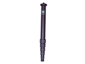 ˼��P-306