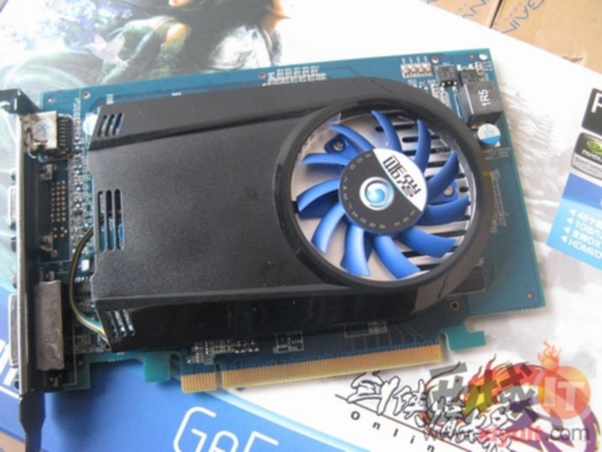 【高清图】 高清福音 影驰gt220黑将热卖仅售599元图1